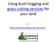 Using bush hogging and grass cutting services for your land PowerPoint PPT Presentation