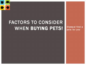 Factors to Consider When Buying Pets!