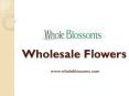 Wholesale Flowers - wholeblossoms (1) PowerPoint PPT Presentation