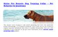 Sirius pro remote dog training collar – Pet behavior & questions PowerPoint PPT Presentation