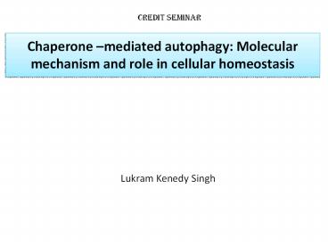 Chaperone –mediated autophagy: Molecular mechanism and role in cellular homeostasis