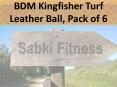 BDM Kingfisher Turf Leather Ball, Pack Of 6 -Sabkifitness.Com