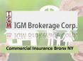Commercial Insurance Bronx NY (1) PowerPoint PPT Presentation