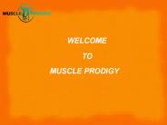 Total Body Workout Routines For Beginner