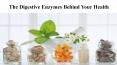The Digestive Enzymes Behind Your Health PowerPoint PPT Presentation