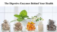 The Digestive Enzymes Behind Your Health