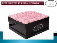 Best Flowers in a box Chicago