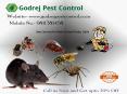 Best Service for Pest Control Noida, Delhi Call 9811381458