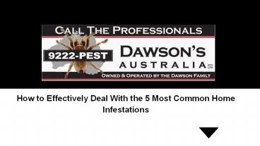 How to Effectively Deal With the 5 Most Common Home Infestations