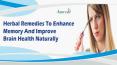 Herbal Remedies To Enhance Memory And Improve Brain Health Naturally