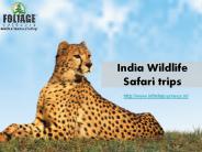 India Wildlife Safari trips