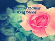Desktop Backgrounds (1)