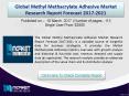 Methyl Methacrylate Industry Market Industry Analysis - Latest Trends and Issues! PowerPoint PPT Presentation