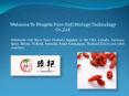 Ningxia Pure Goji Biology Technology Co.,Ltd - Goji Berry Food Products Supplier PowerPoint PPT Presentation