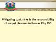Mitigating toxic risks is the responsibility of carpet cleaners in Kansas City MO PowerPoint PPT Presentation
