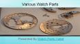 Various Watch Parts PowerPoint PPT Presentation
