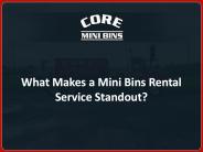 What makes a Mini Bins Rental Service Standout?