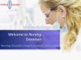 Online Nursing Schools (2) PowerPoint PPT Presentation