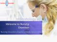 Online Nursing Schools PowerPoint PPT Presentation