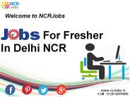 Jobs for Fresher in Delhi NCR