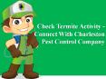 Check Termite Activity - Connect With Charleston Pest Control Company PowerPoint PPT Presentation
