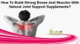How To Build Strong Bones And Muscles With Natural Joint Support Supplements? PowerPoint PPT Presentation