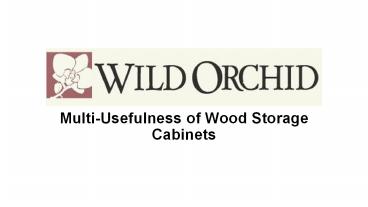 Multi-Usefulness of Wood Storage Cabinets
