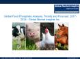 Global Feed Phosphate Industry Analysis, Pitfalls and Future Challenges from 2017 to 2024 PowerPoint PPT Presentation