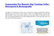 Commander pro remote dog training collar - waterproof & rechargeable