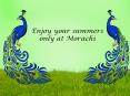 Enjoy Your Summers Only at Morachi PowerPoint PPT Presentation