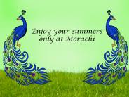 Enjoy Your Summers Only at Morachi