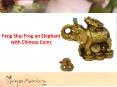 Feng Shui Frog on Elephant with Chinese Coins PowerPoint PPT Presentation