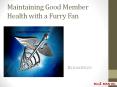 Maintaining Good Member Health with a Furry Fan PowerPoint PPT Presentation