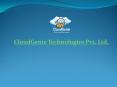 Salesforce Development Services PowerPoint PPT Presentation