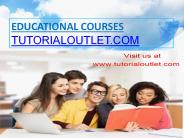 Case Study Part 3 - MS Powerpoint Executive