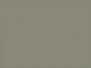 CIS 512 Course Experience Tradition /tutorialrank.com