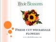 Fresh Cut Wholesale Flowers - www.wholeblossoms.com PowerPoint PPT Presentation