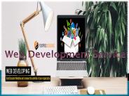 Top Web Development Service