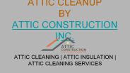 Why Need For Attic Cleanup Services?