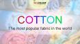 Cotton - The most popular fabric in the world PowerPoint PPT Presentation