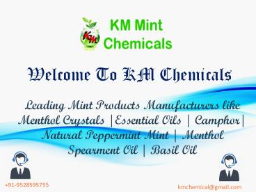 Camphor Manufacturers (14)