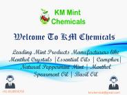 Camphor Manufacturers (14)