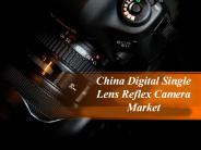 China Digital Single Lens Reflex Camera Market
