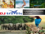 Tour Operators In Sri Lanka with Good Holiday Packages