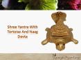 Shree Yantra with Tortoise and Naag Devta PowerPoint PPT Presentation