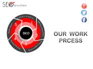 Professional SEO Service Organization in Dubai, UAE