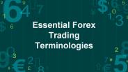 Essential Forex Trading Terminologies