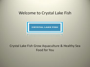 Tilapia Fingerlings And High Quality Fingerlings, Fish Farm Advice