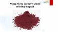 24 Market Reports: Phosphorus Industry China Monthly Report PowerPoint PPT Presentation