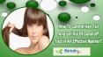 How To Control Hair Fall And Get Rid Of Dandruff Fast In An Effective Manner? PowerPoint PPT Presentation